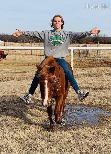 "Jimmy" Sorrel Gelding Quarter Horse