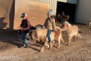 "Rain" Buckskin Mare American Miniature