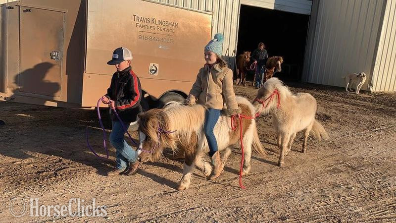 "Rain" Buckskin Mare American Miniature