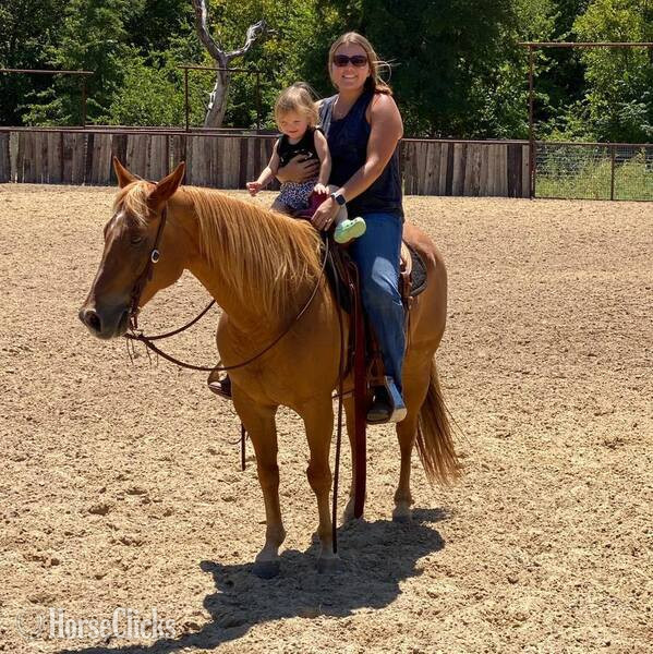 "Speedbump" Sorrel Gelding Quarter Horse