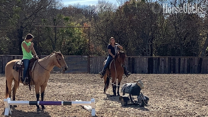 "Wyatt" Bay Gelding Quarter Horse