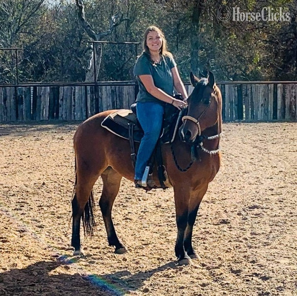 "Wyatt" Bay Gelding Quarter Horse