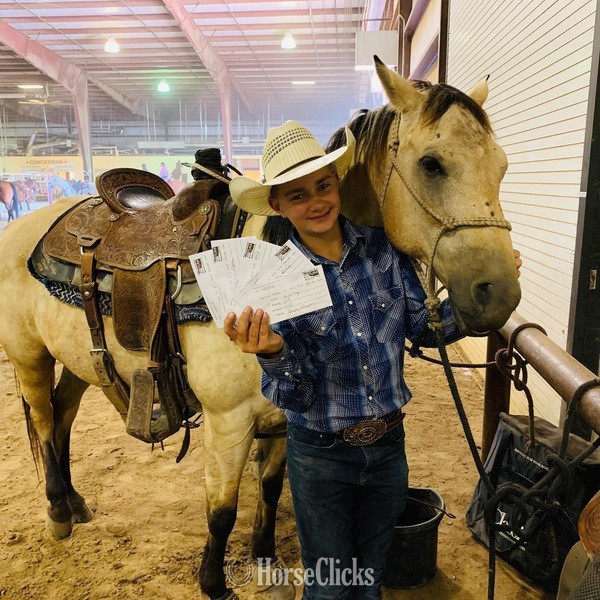 "Cooper" Buckskin Gelding Quarter Horse