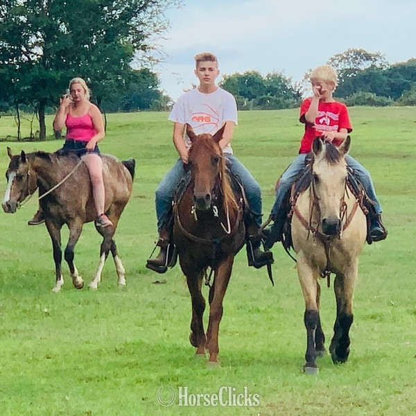 "Cooper" Buckskin Gelding Quarter Horse