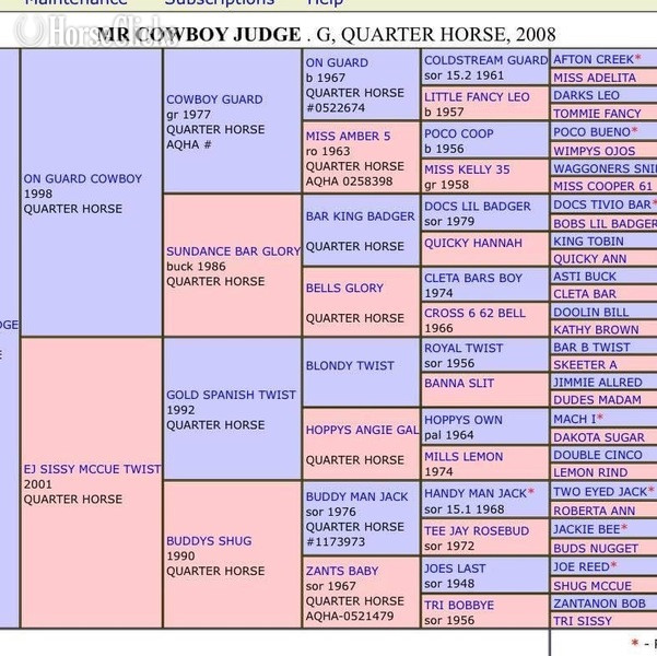 "Judge" Bay Roan Gelding Quarter Horse
