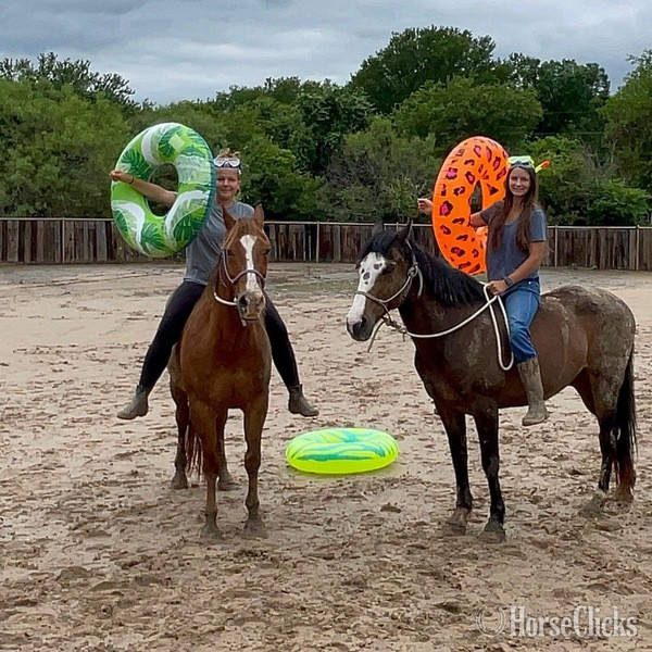 "Jitterbug" Sorrel Gelding Quarter Horse