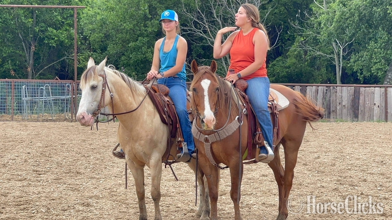 "Jitterbug" Sorrel Gelding Quarter Horse
