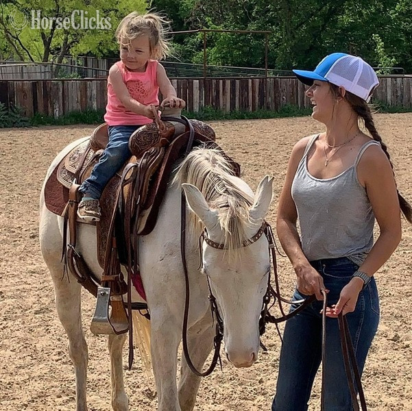 "Bubbles" Grey Mare Quarter Pony