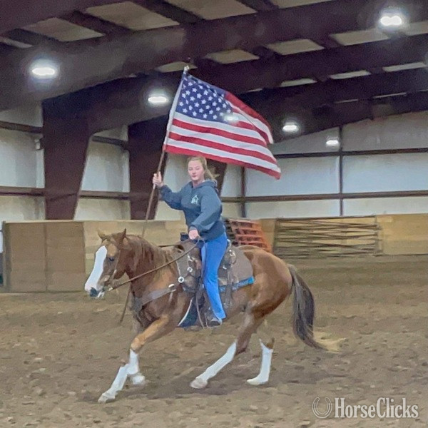 "John Wayne" Sorrel Gelding Pony