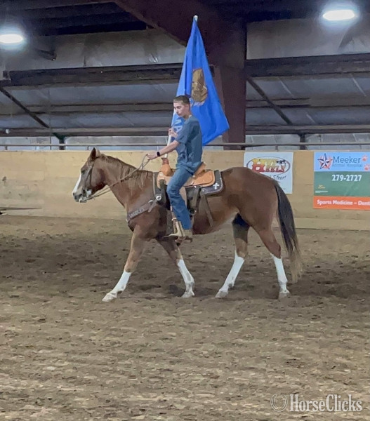 "John Wayne" Sorrel Gelding Pony