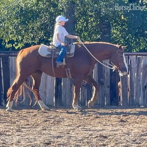 "Zoey" Sorrel Mare Quarter Horse