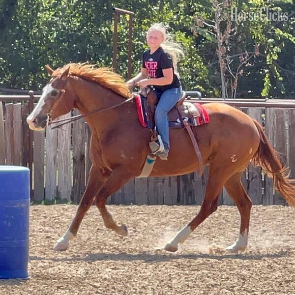 "Zoey" Sorrel Mare Quarter Horse