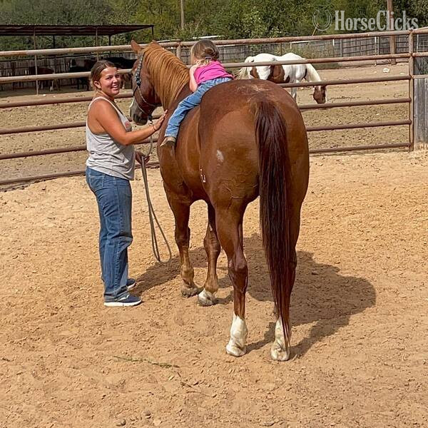 "Zoey" Sorrel Mare Quarter Horse