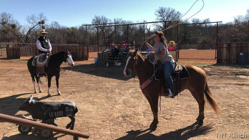 "Ike" Chestnut Gelding Quarter Horse