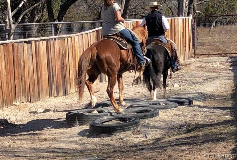 "Ike" Chestnut Gelding Quarter Horse